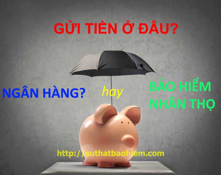 nên gửi tiền bảo hiểm nhân thọ hay ngân hàng