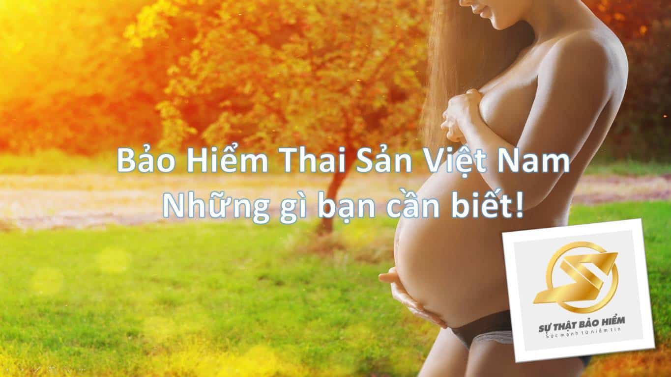 bao hiem thai san viet nam -