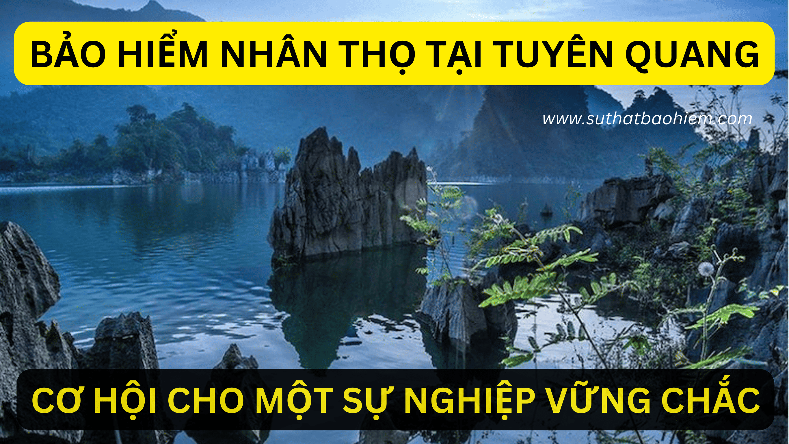 BAO HIEM NHAN THO TAI tuyen quang