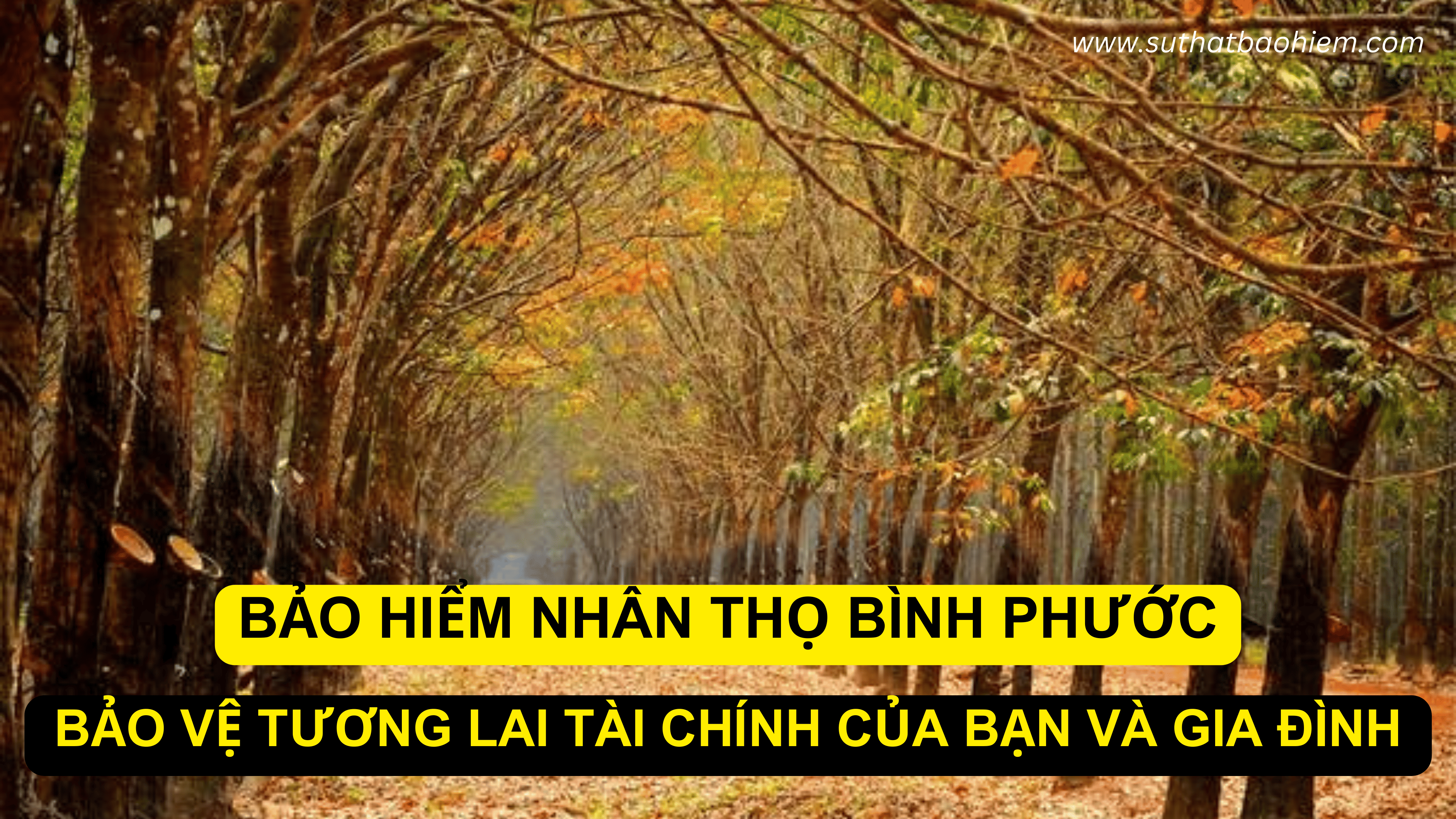 BAO-HIEM-NHAN-THO-HAI-PHONG-13-1