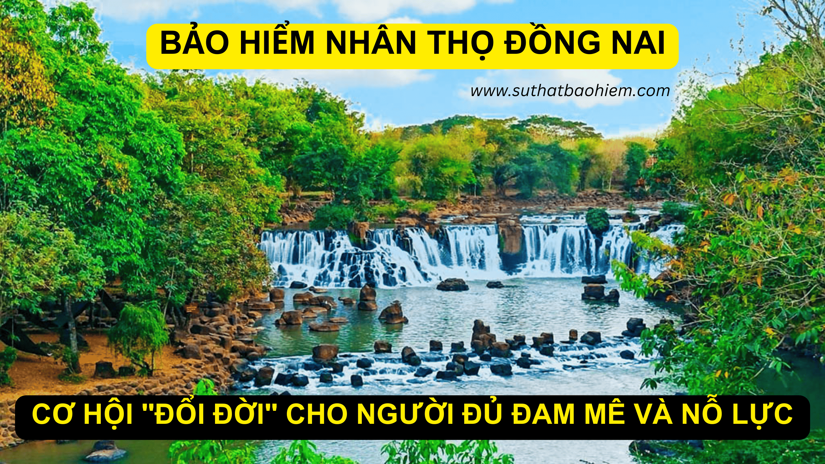 BAO-HIEM-NHAN-THO-HAI-PHONG-15