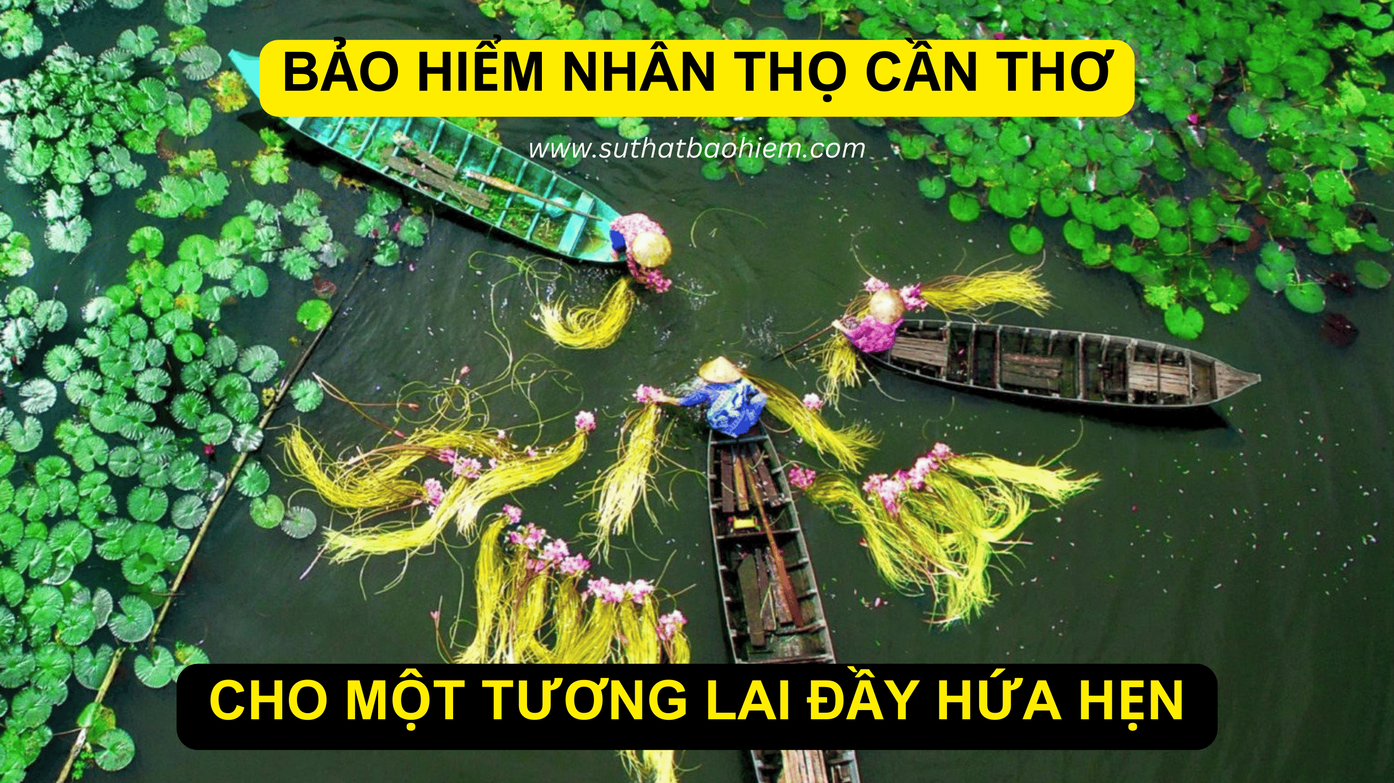 BAO HIEM NHAN THO HAI PHONG 18