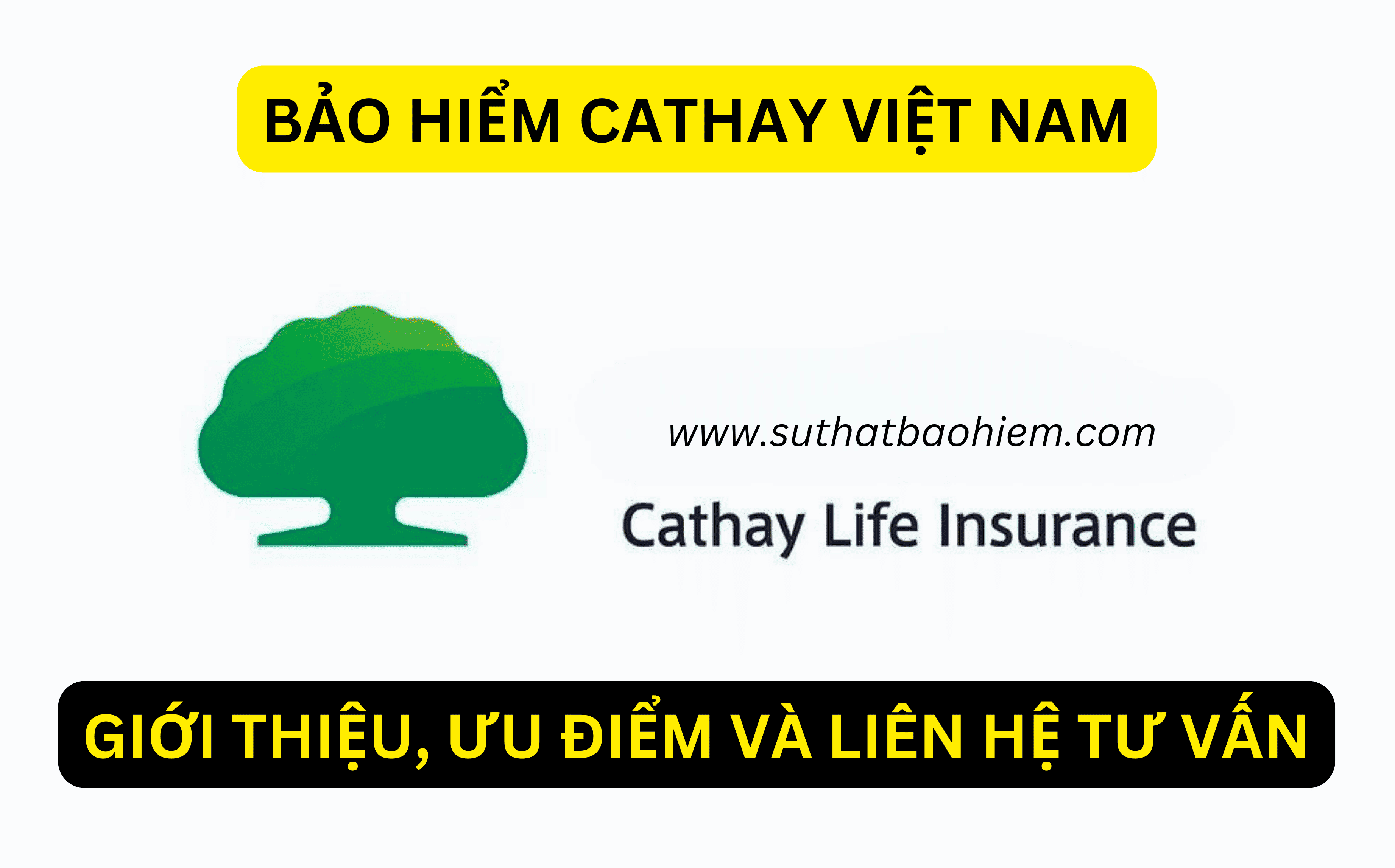 bao-hiem-nhan-tho-cathay-viet-nam