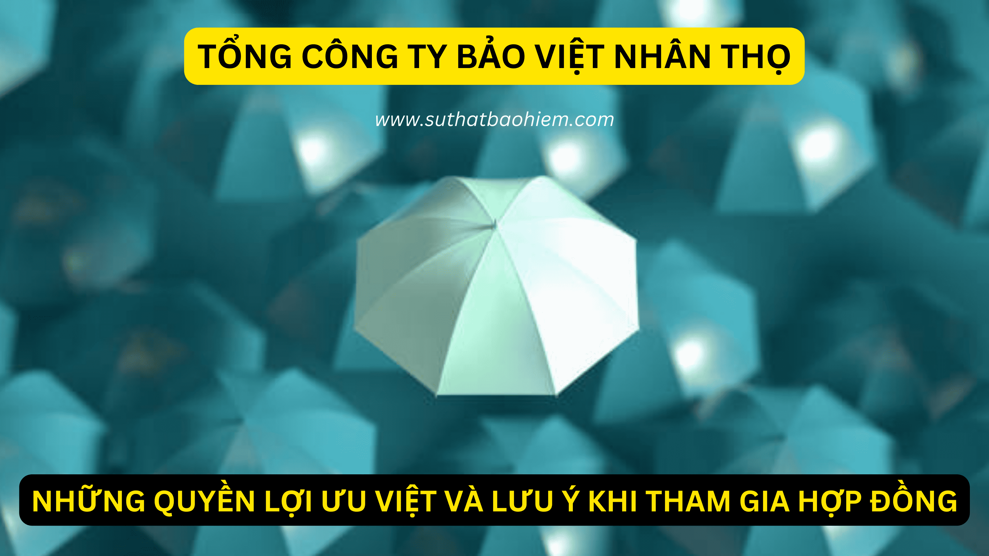 gioi thieu tong cong ty bao viet nhan tho