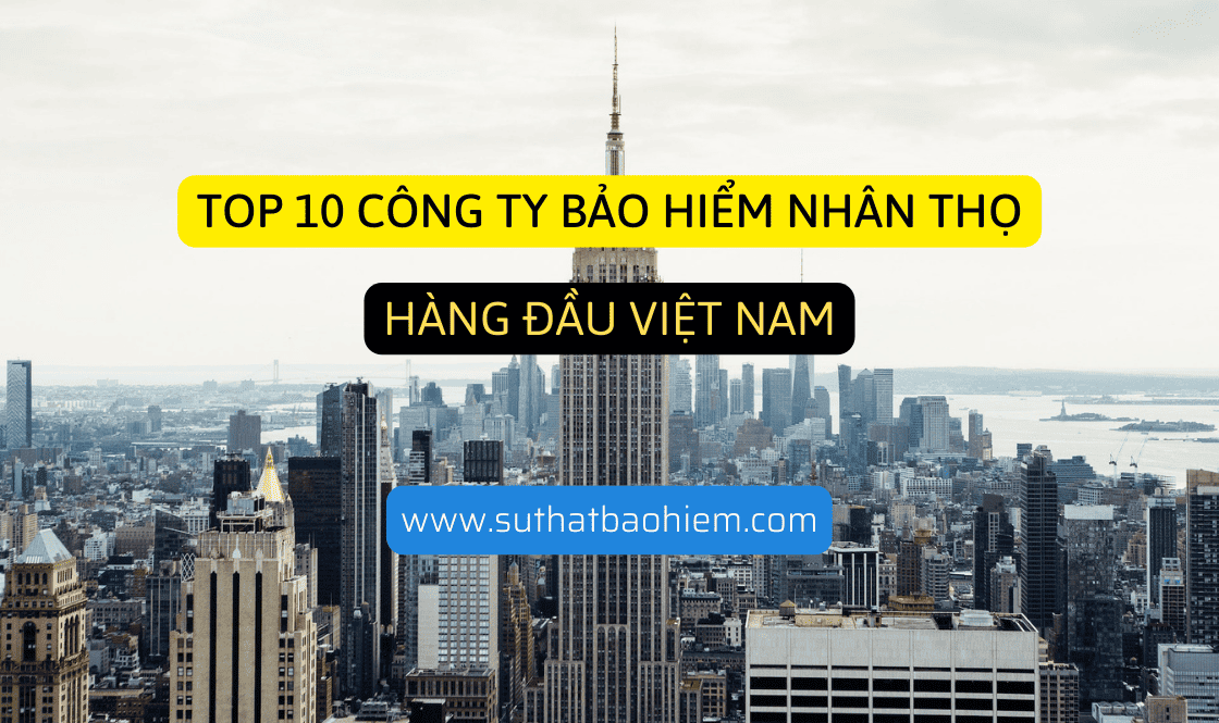 top 10 cong ty bao hiem nhan tho hang dau viet nam